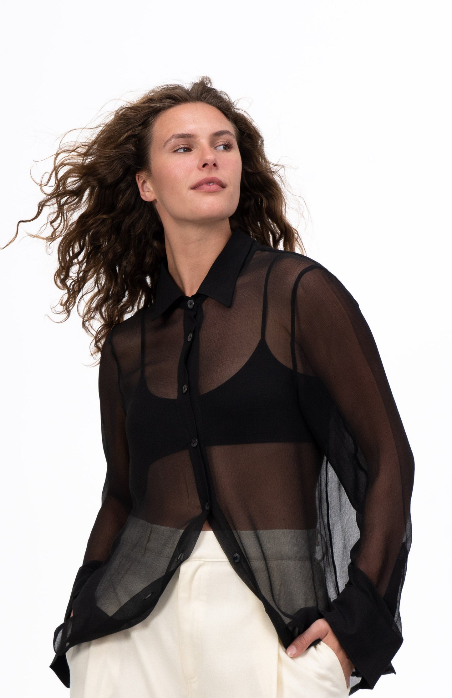 Sheer Black Blouse