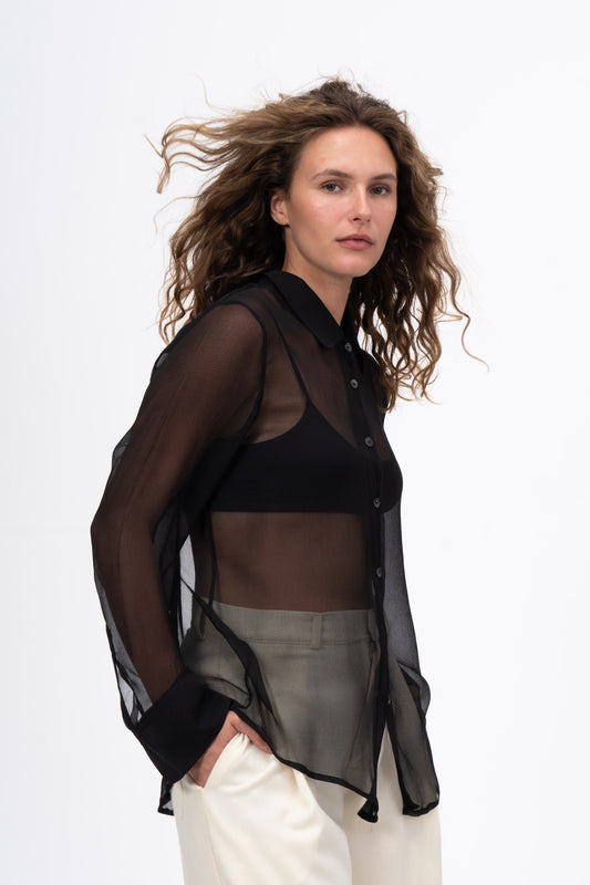 Sheer Black Blouse